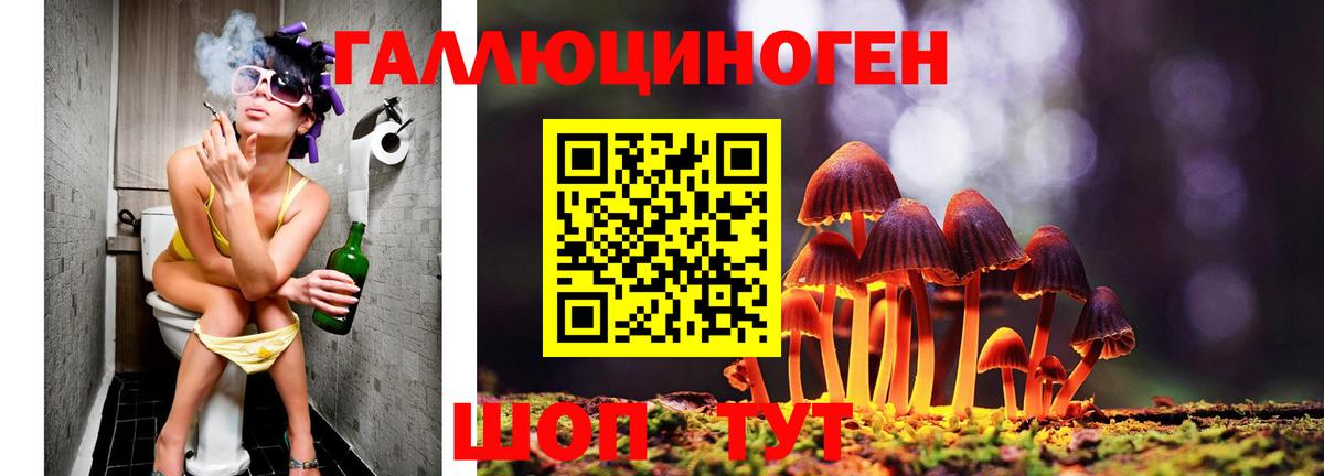 Каменск-Шахтинский  Галлюциногенные грибы Psilocybine cubensis  Вход с VPN 